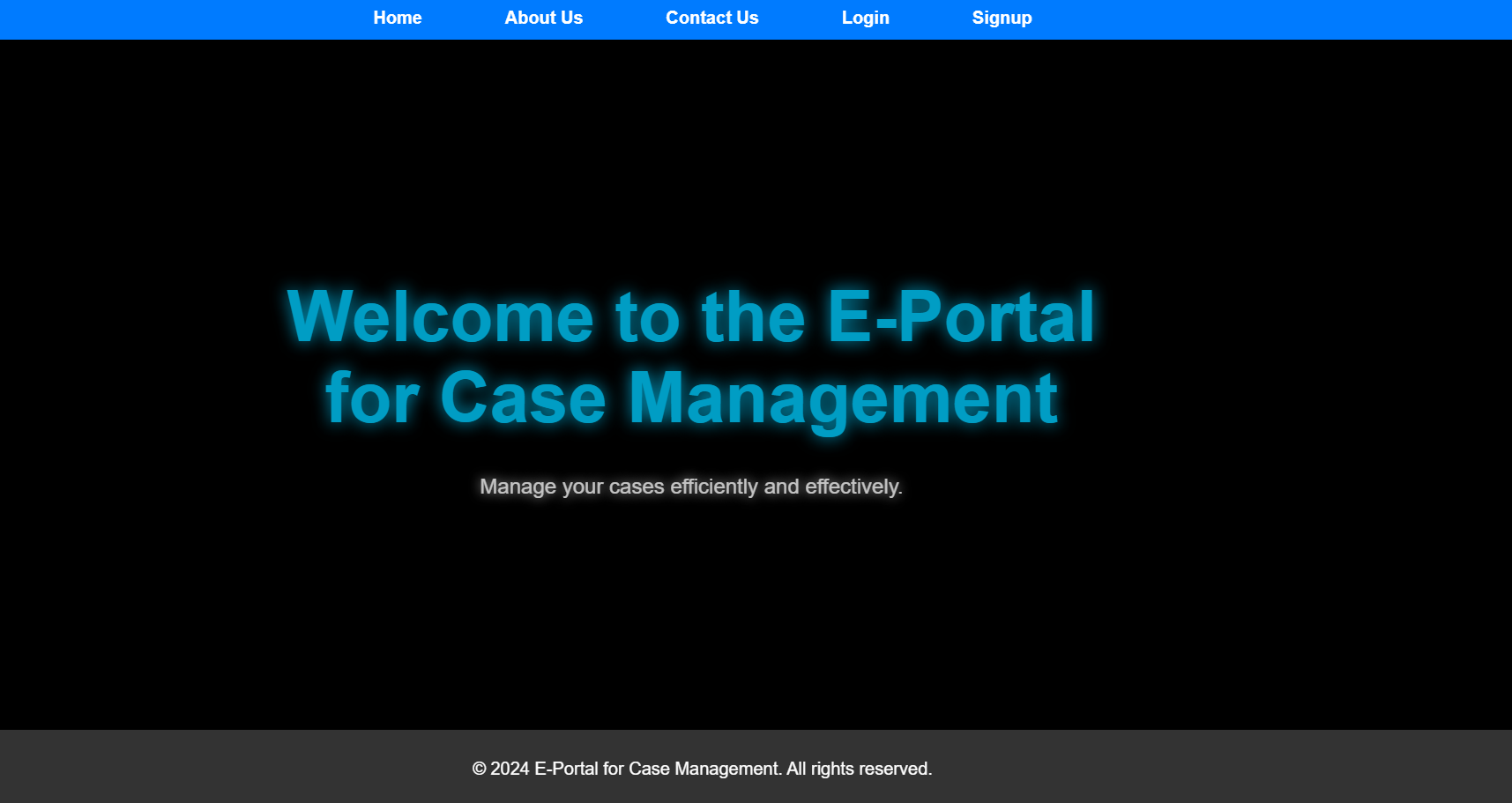 Generic representation of a web application interface for case management